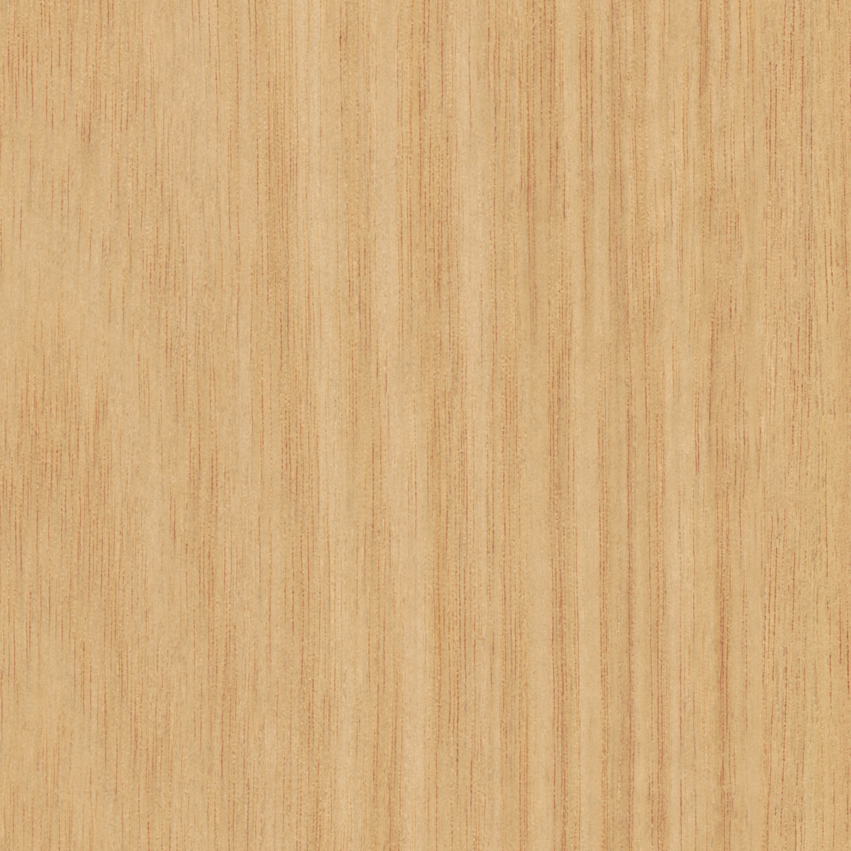 Tasmanian Oak
